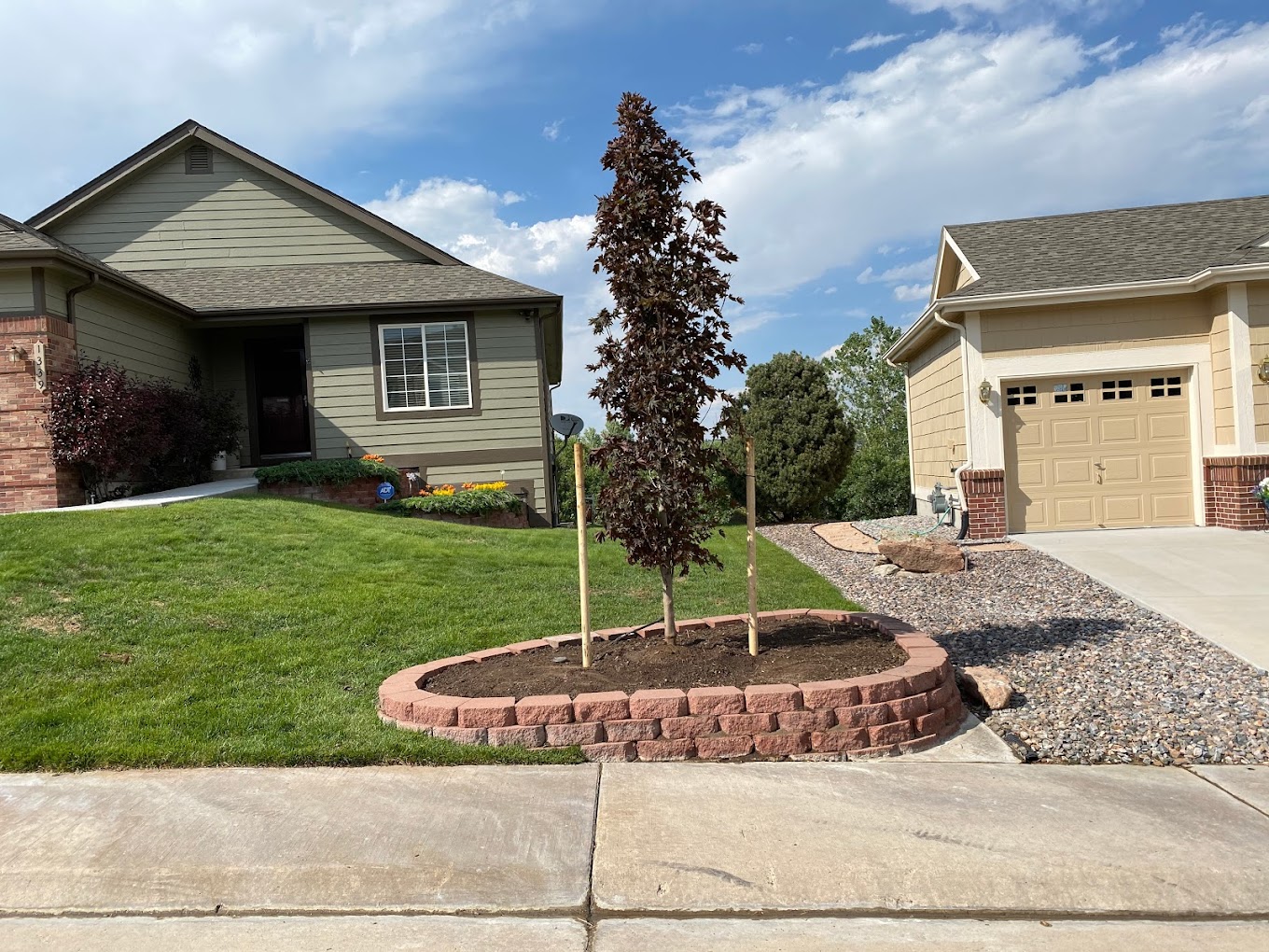 castle pines tree planting and tree pruning