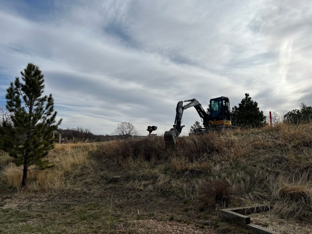 tree pruning and tree service in sapphire pointe castle rock colorado 80108