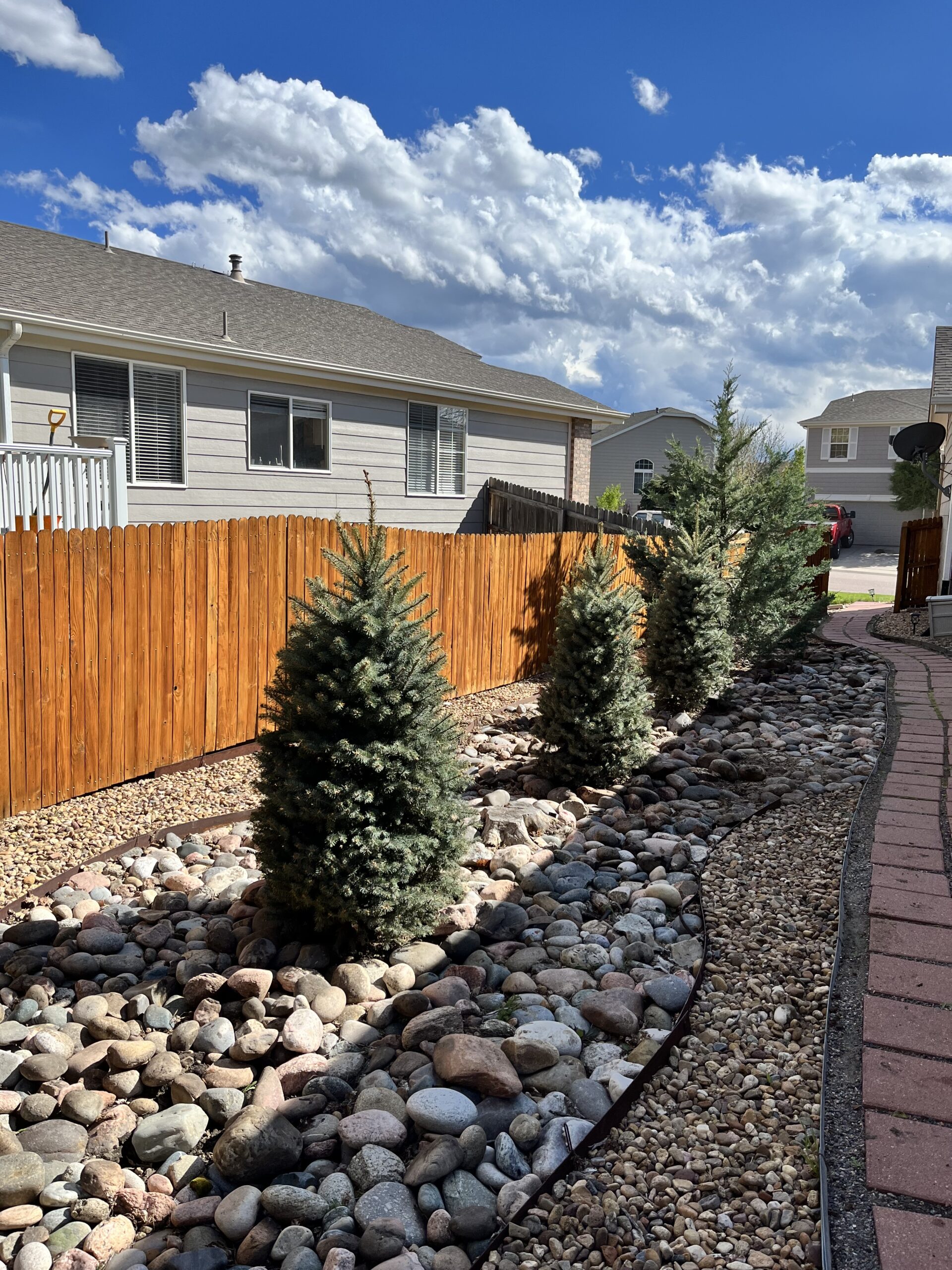 Tree removal and planting in lone tree