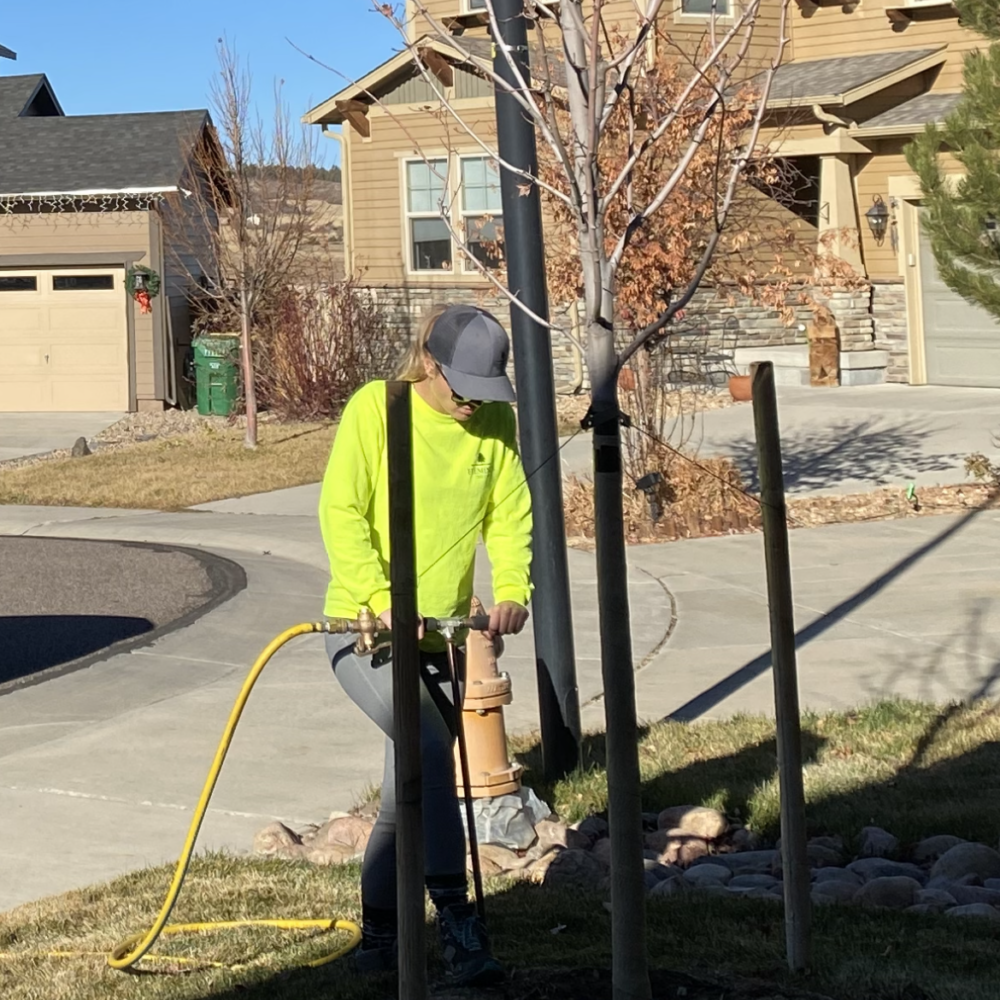 Plant Health Care Services - Flemings Tree Care | Tree Service in ...