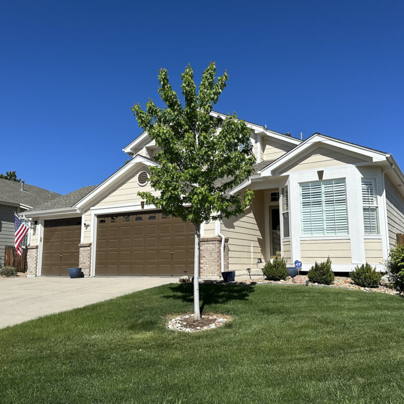 tree-planting-help-and-tree-planting-company-in-castle-rock-and-parker-colorado