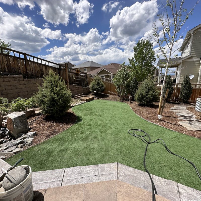 tree planting in parker colorado